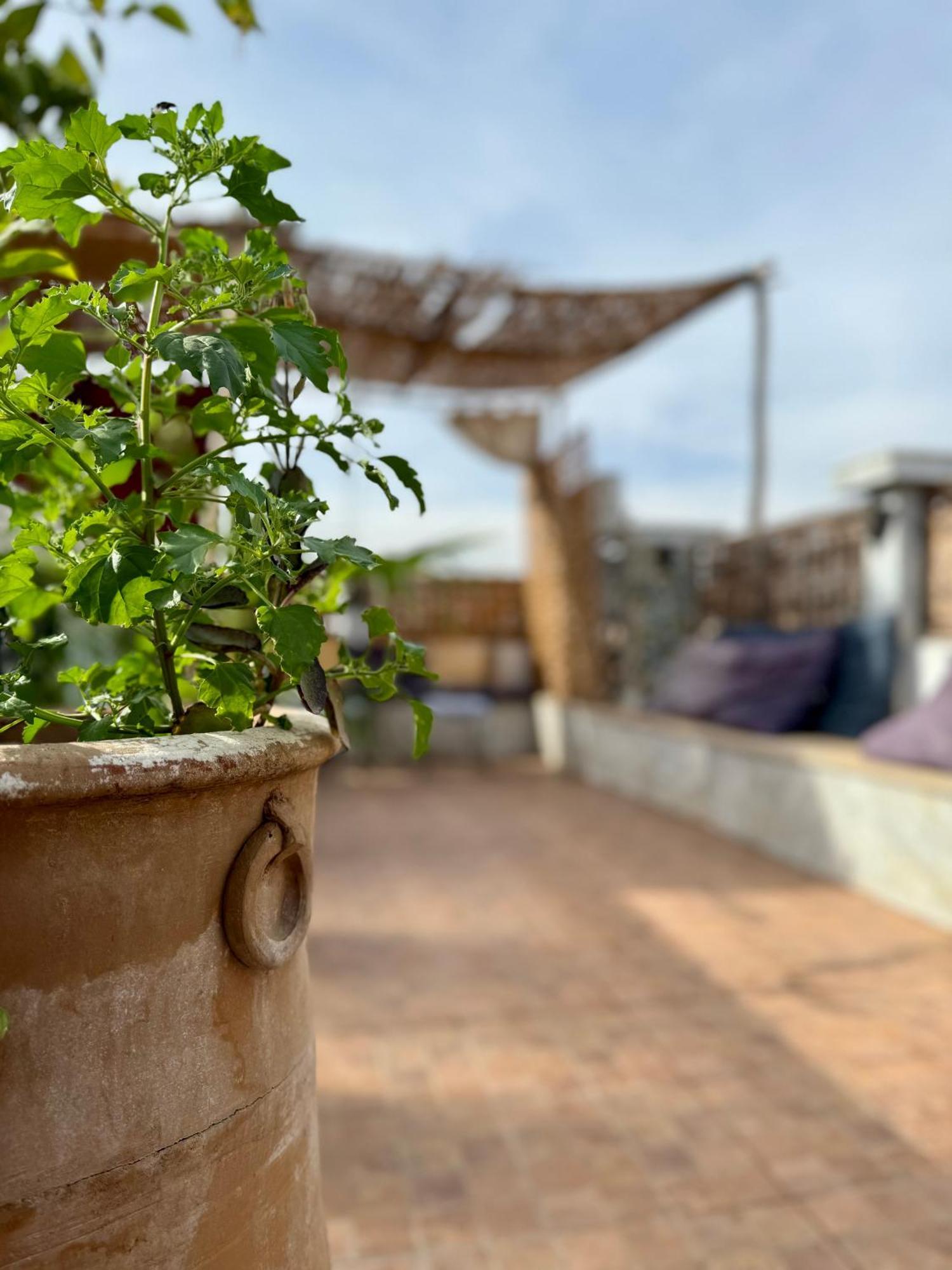 Riad Flottement Des Songes Marrakesh Exterior photo
